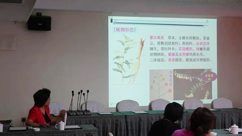 科技創(chuàng)新的引擎 —— 北京企業(yè)技術(shù)開(kāi)發(fā)研究所以卓越開(kāi)發(fā)引領(lǐng)行業(yè)前行